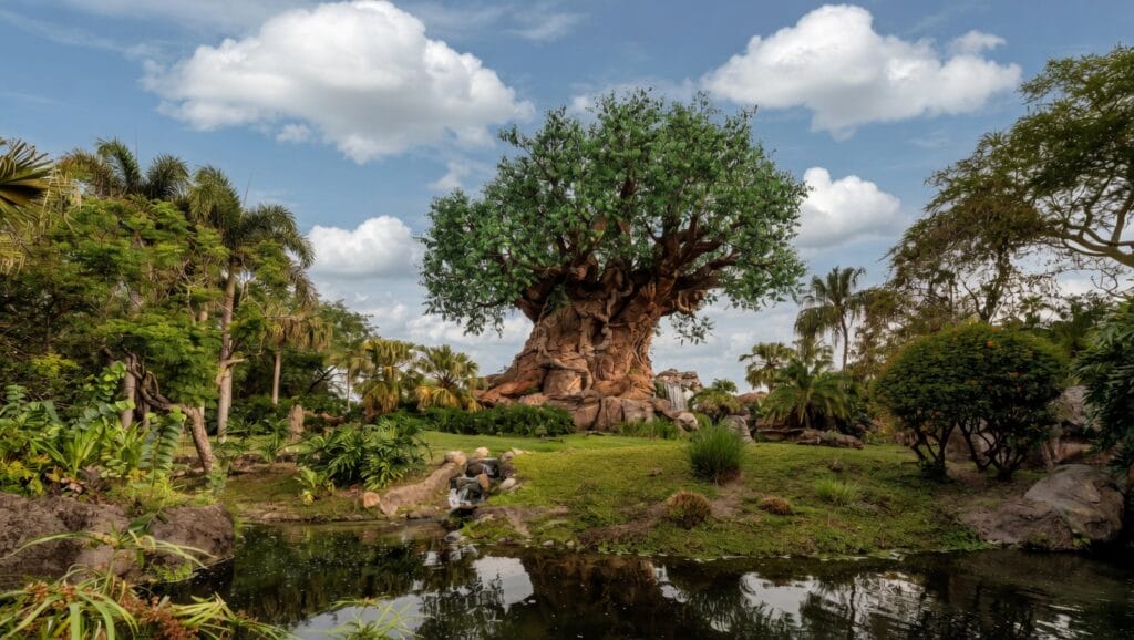 Animal Kingdom - Tree