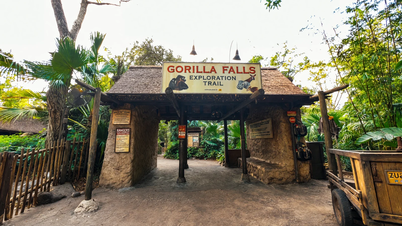 Animal Kingdom - Gorilla Falls Exploration Trail