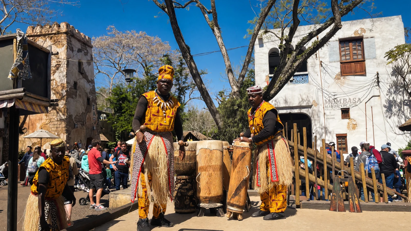 Animal Kingdom - Tam Tam Drummers of Harambe