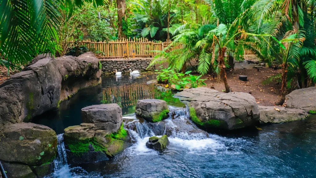 Animal Kingdom - The Oasis Exhibits