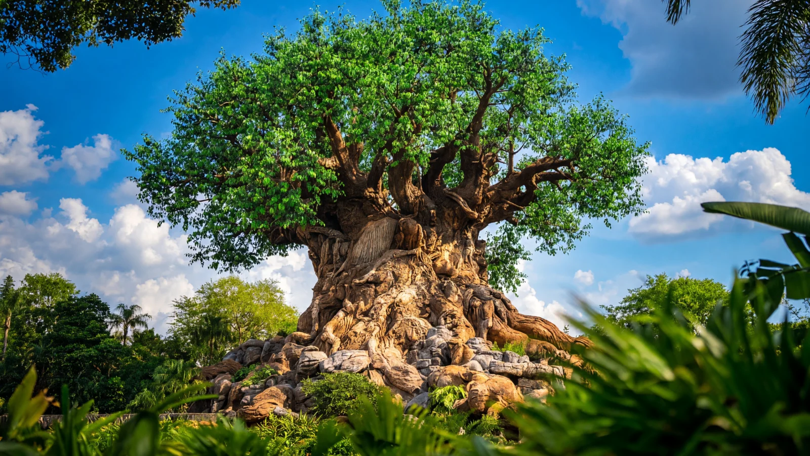 Animal Kingdom - Tree of Life