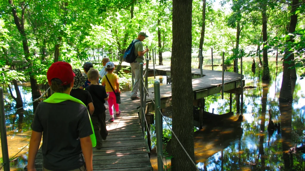 Dallas - Heard Natural Science Museum and Wildlife Sanctuary photo