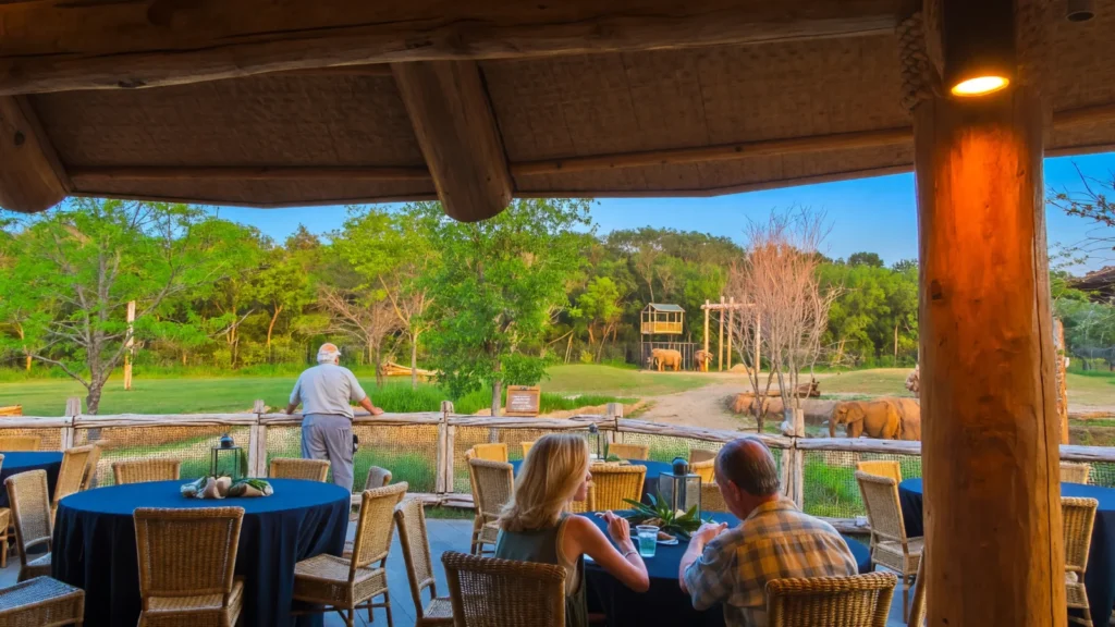 Dallas Zoo photo