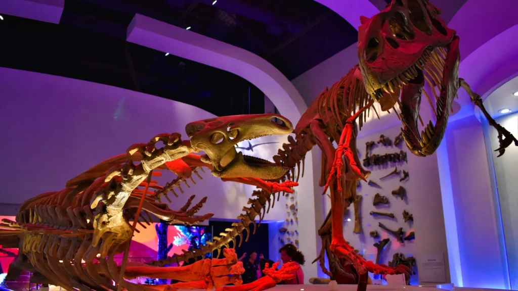 Fort Worth Museum of Science and History photo