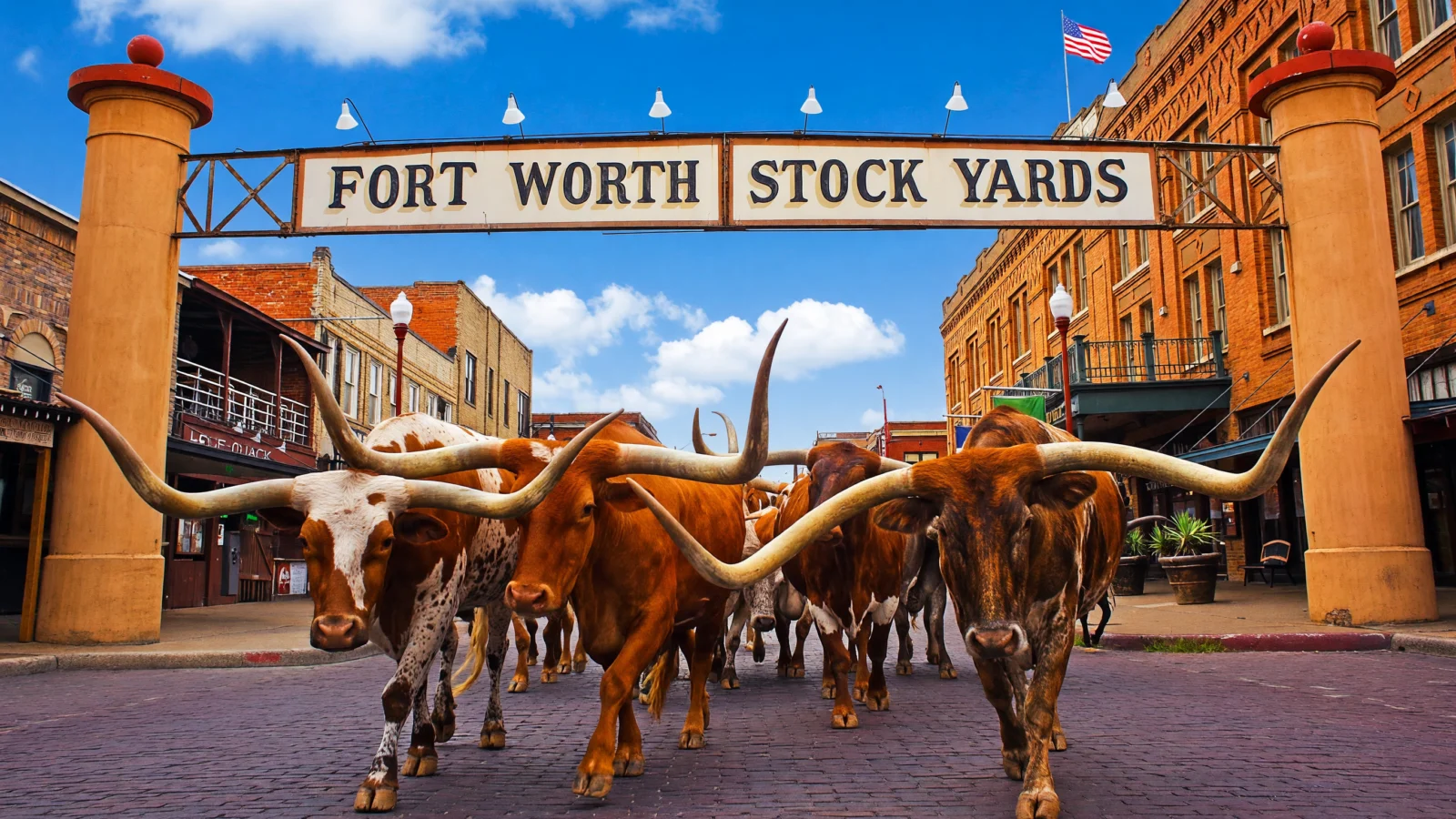Fort Worth Stockyards