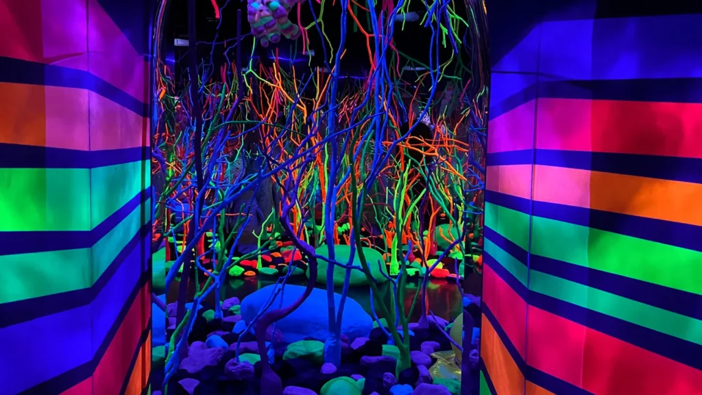 Meow Wolf Grapevine: The Real Unreal photo