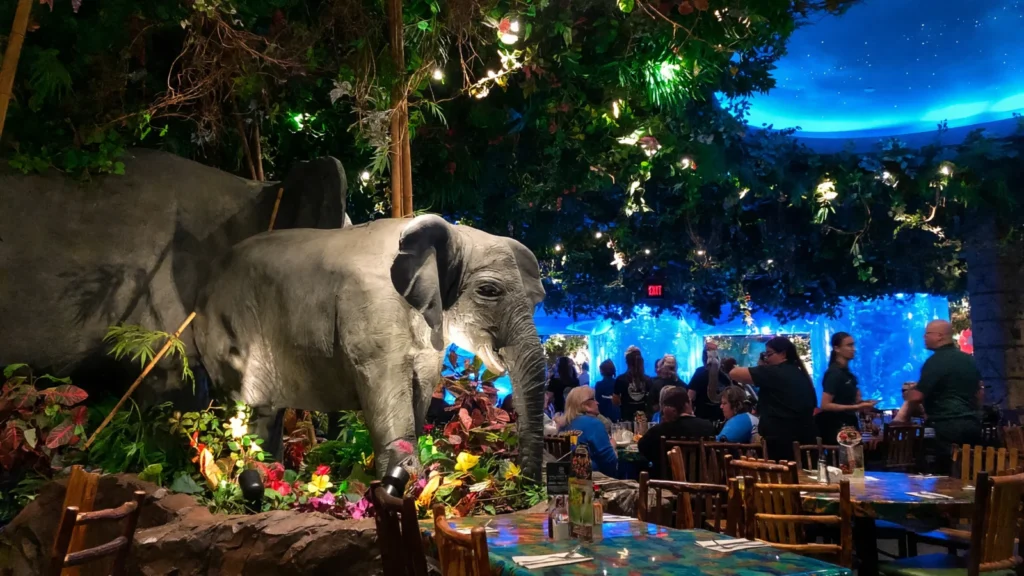 Walt Disney World - Rainforest Cafe photo