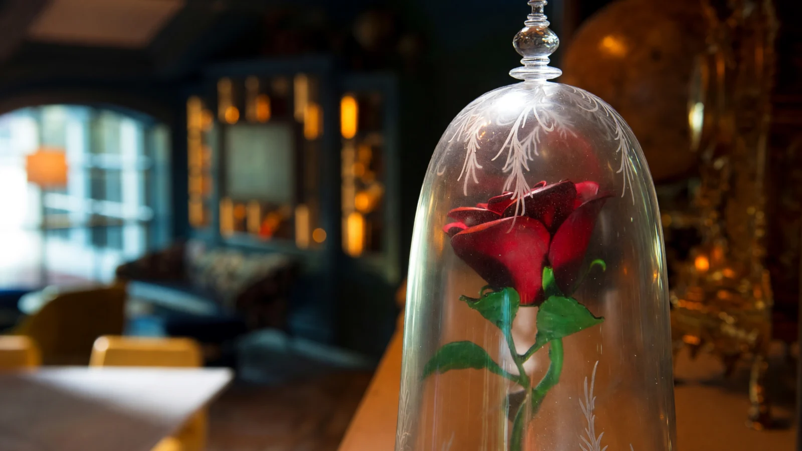 Walt Disney World - enchanted rose