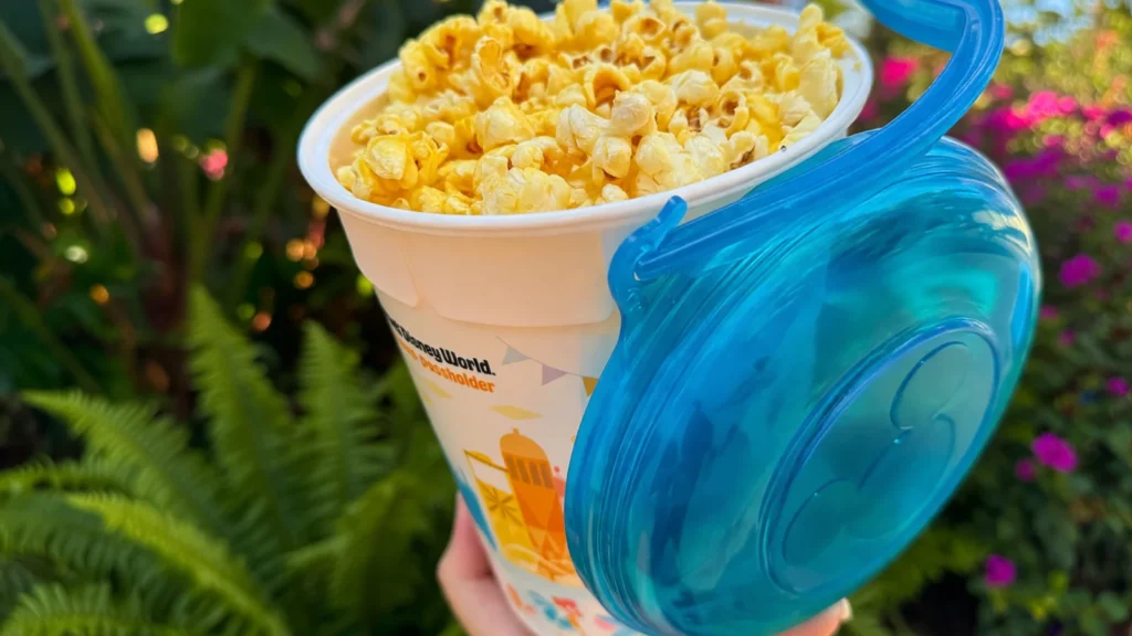 Disney Parks Popcorn