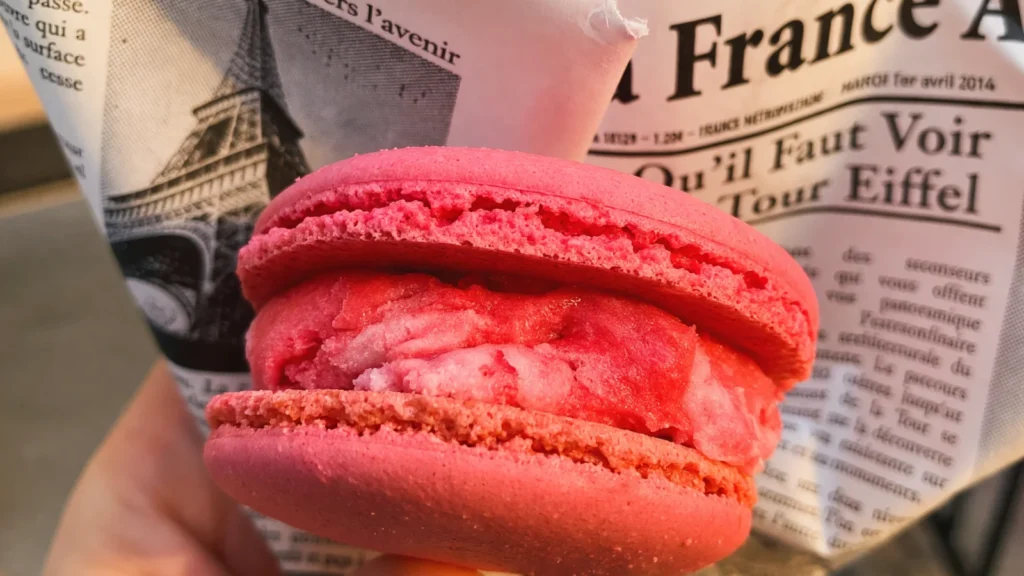 EPCOT - Macaron Ice Cream Sandwich