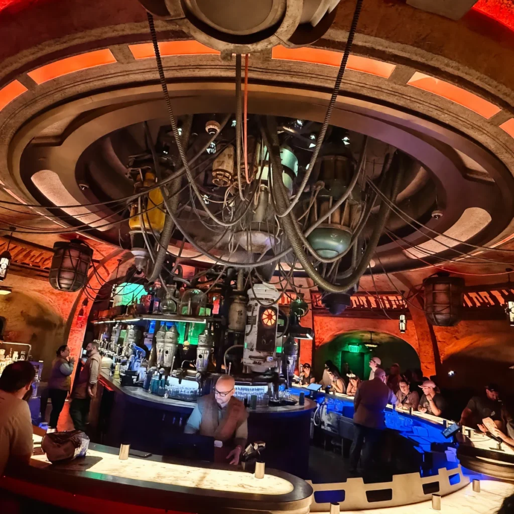 Hollywood Studios - Oga's Cantina