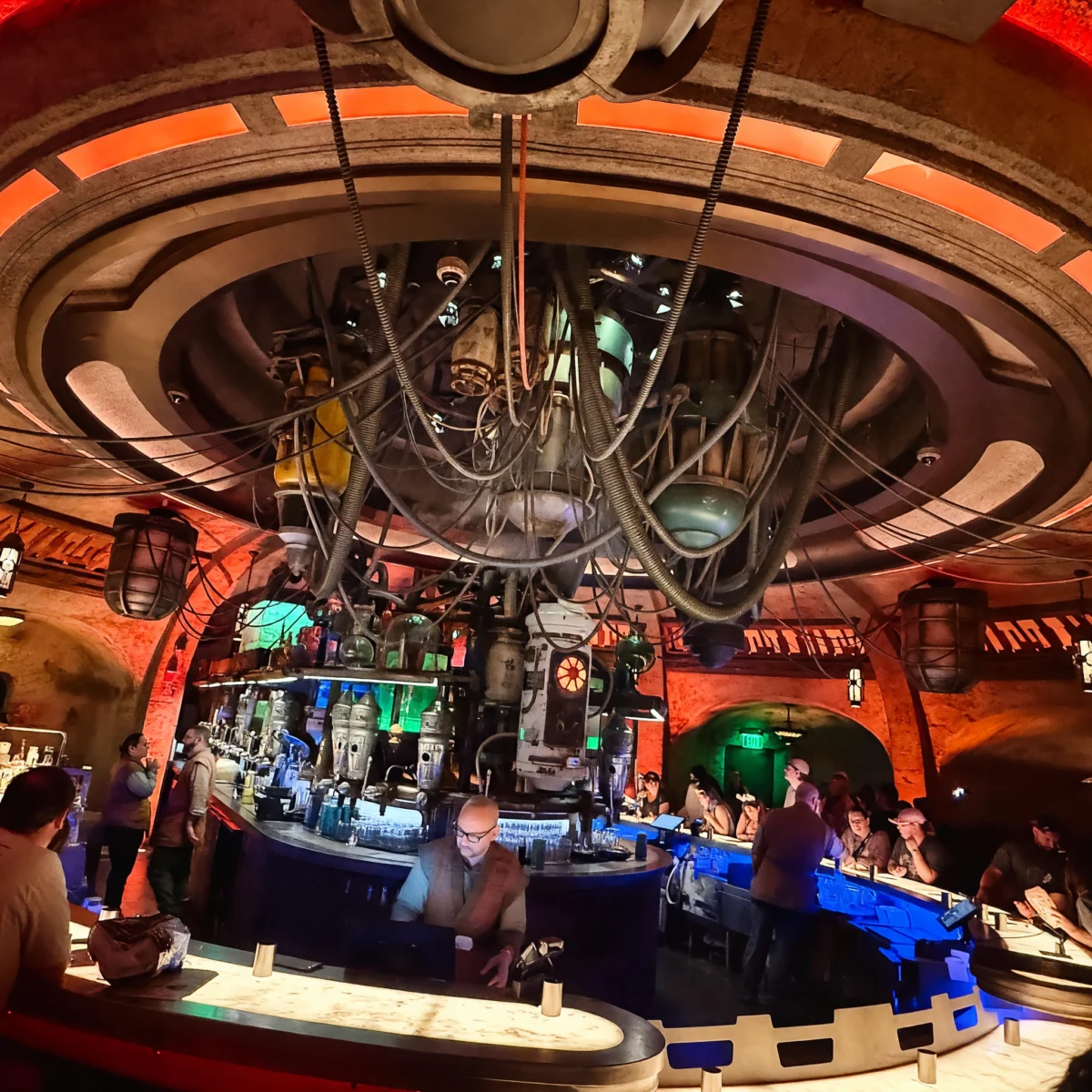 Hollywood Studios - Oga's Cantina