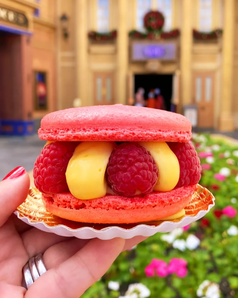 Les Halles Raspberry Lime Macaron at EPCOT
