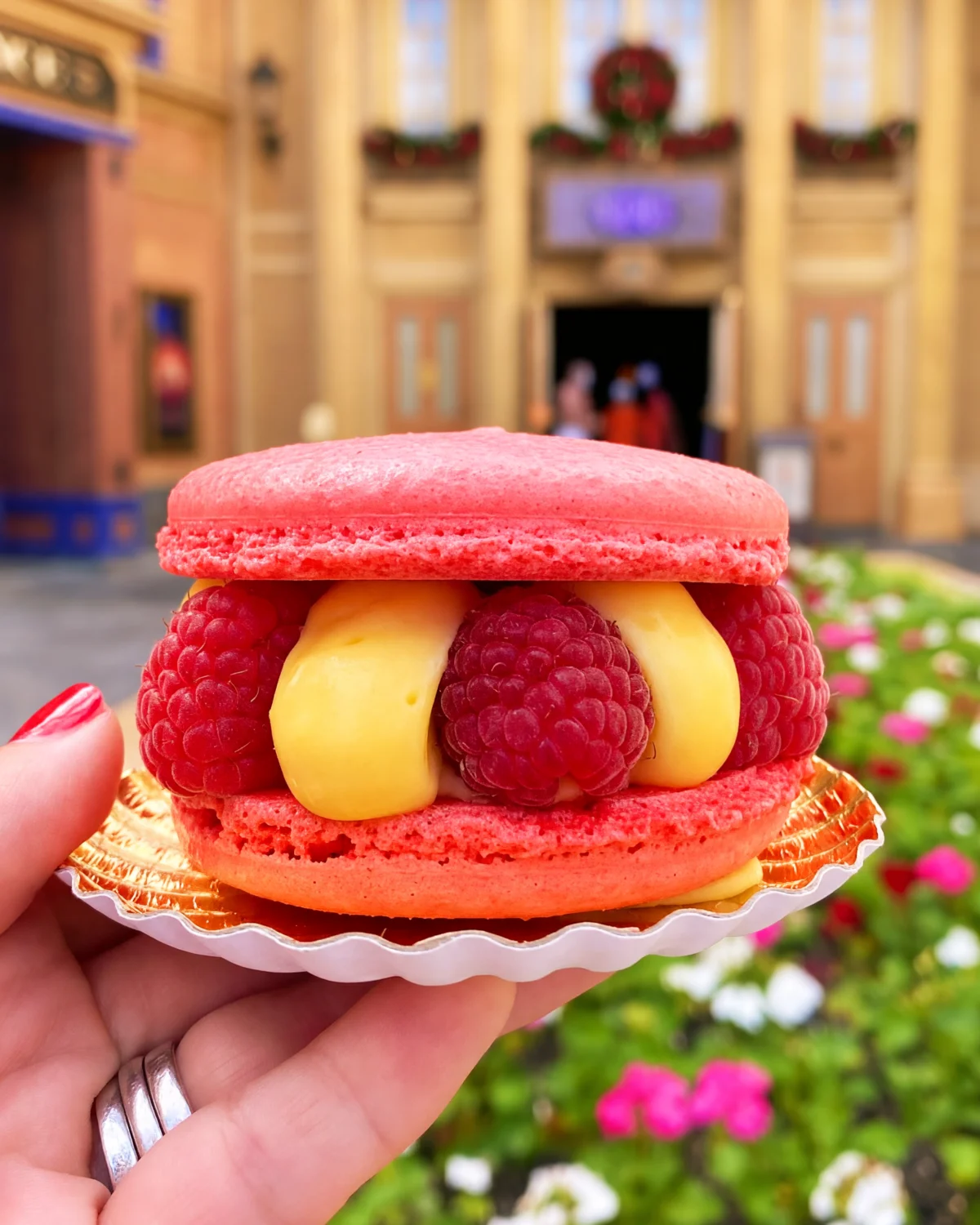 Les Halles Raspberry Lime Macaron at EPCOT