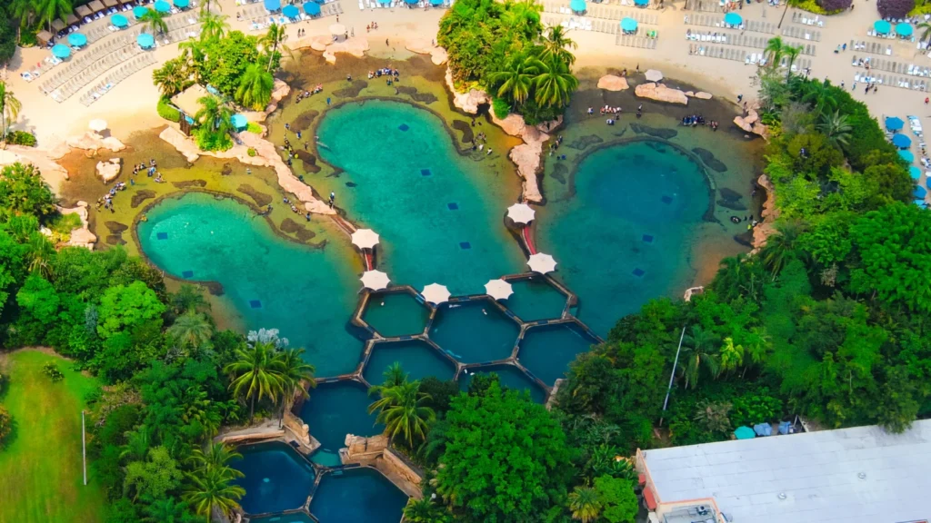 Orlando Area - Discovery Cove