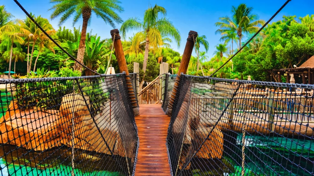 Orlando Area - Discovery Cove