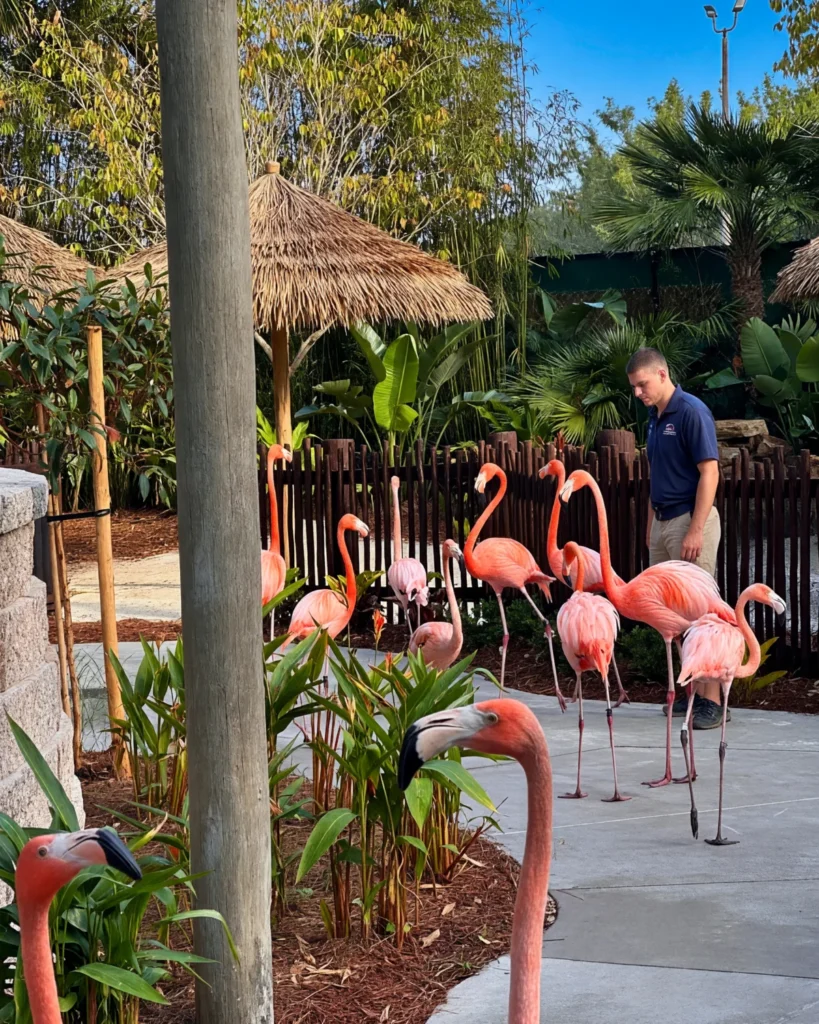 Orlando Area - Discovery Cove