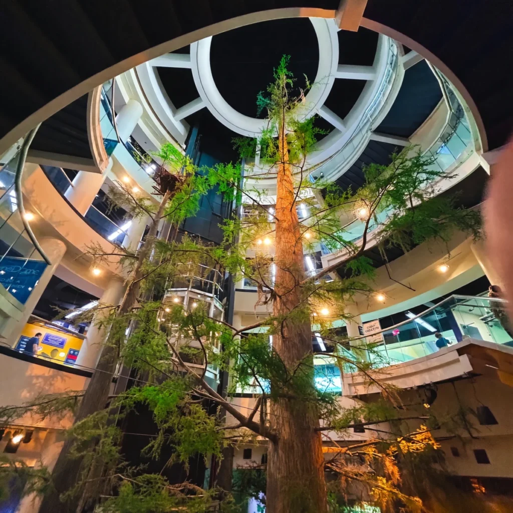 Orlando Area - Orlando Science Center