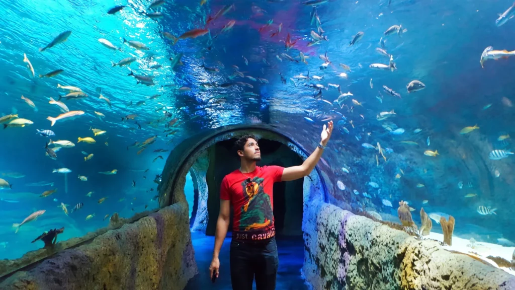 Orlando Area - SEA LIFE Orlando Aquarium