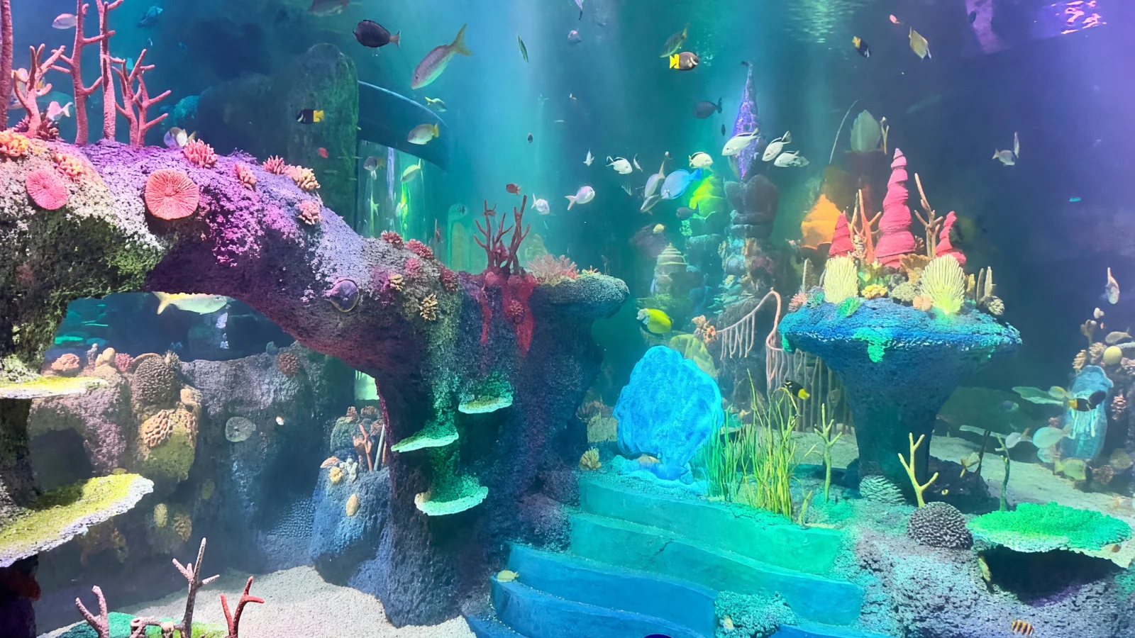 Orlando Area - SEA LIFE Orlando Aquarium