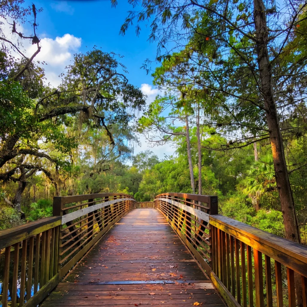 Orlando Area - Shingle Creek Regional Park