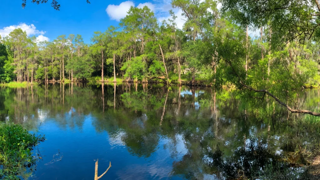 Orlando Area - Shingle Creek Regional Park