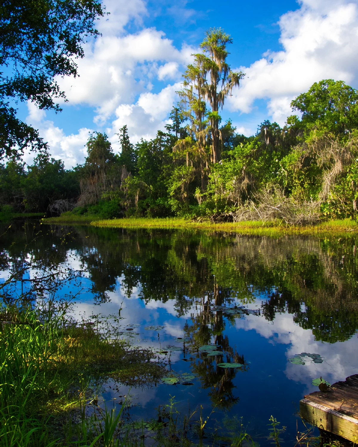 Orlando Area - Shingle Creek Regional Park
