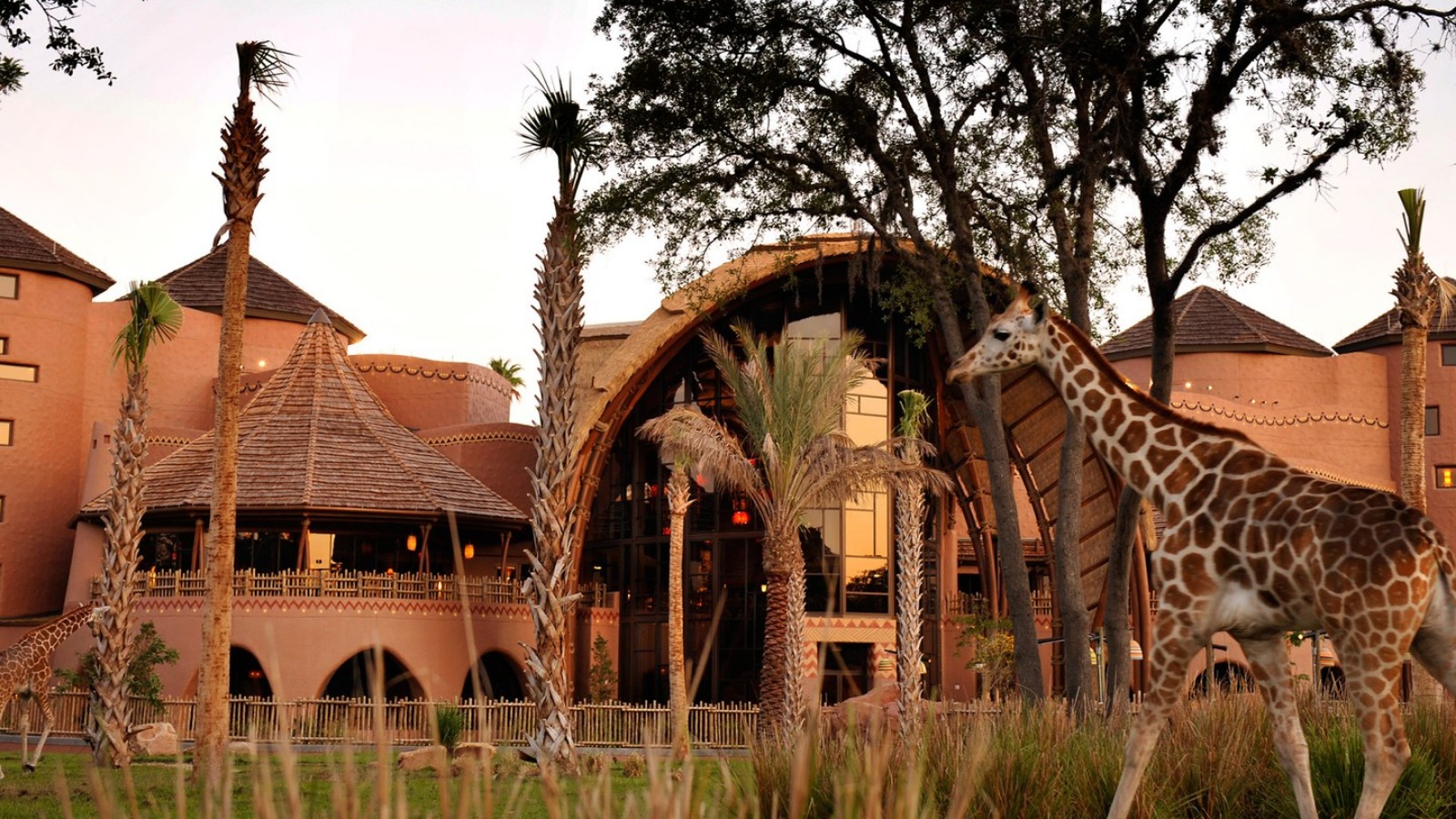 Animal Kingdom and Animal Kingdom Lodge: Is It Worth Pairing Them for a Disney Resort Day?